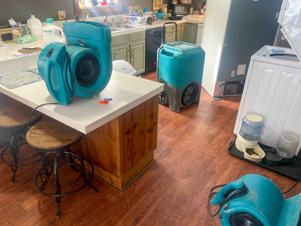Best Ceiling water damage repair  in Yukon, OK
