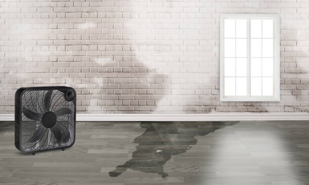 Best Water damage contractors near me  in Yukon, OK